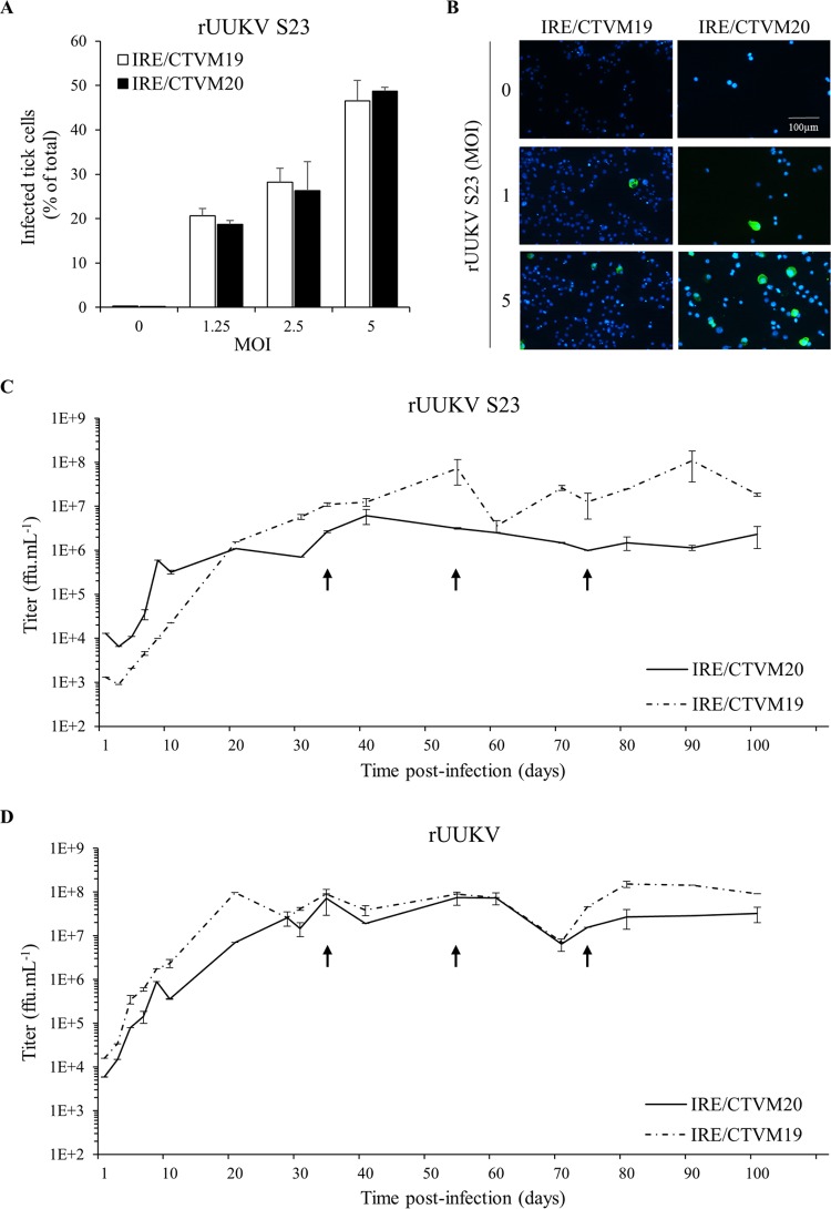 FIG 3