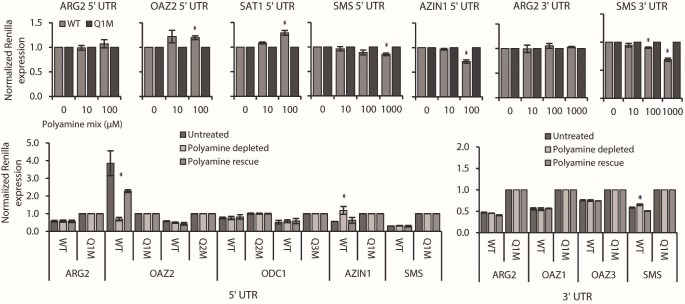 Figure 4—figure supplement 5.