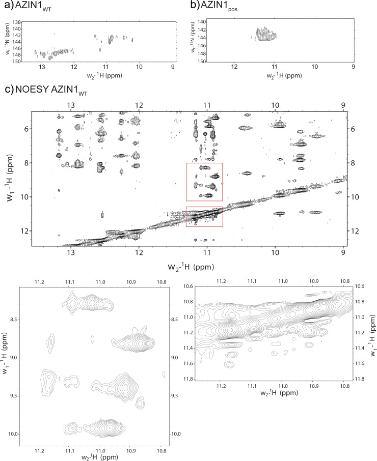 Figure 5—figure supplement 2.