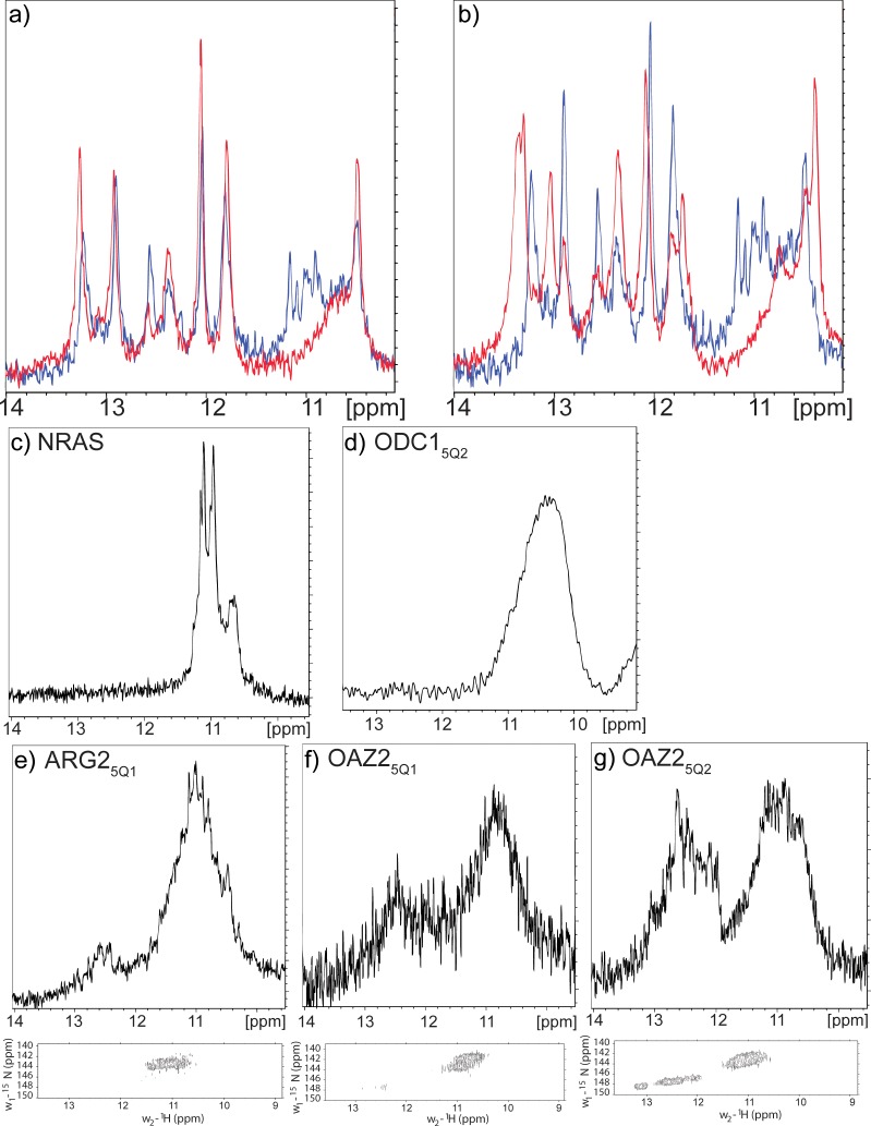 Figure 5—figure supplement 1.