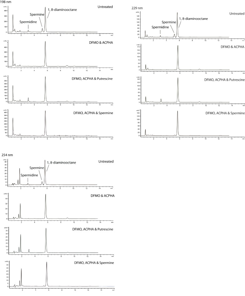 Figure 4—figure supplement 7.