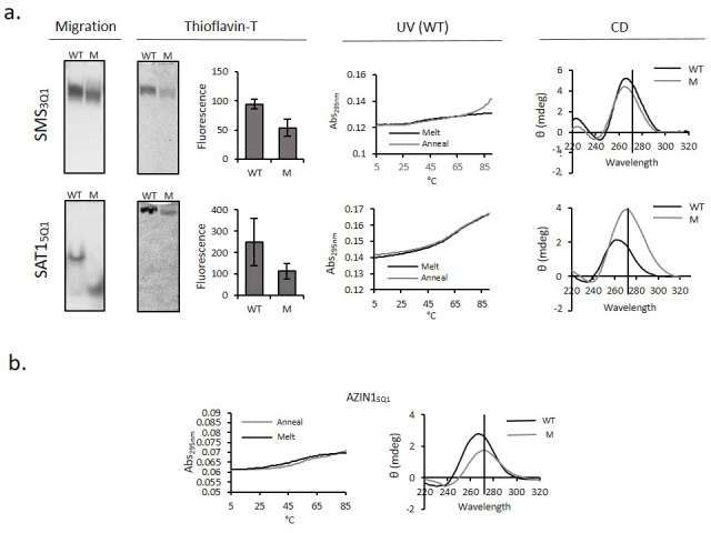 Figure 3—figure supplement 2.