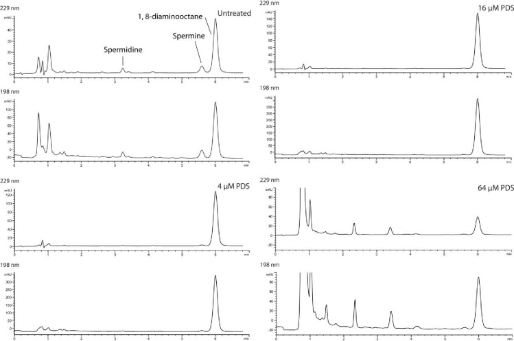 Figure 4—figure supplement 2.