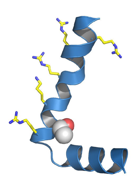 graphic file with name awv117fig1g.jpg