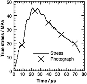 Fig. 10