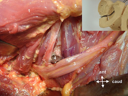 Fig. 13