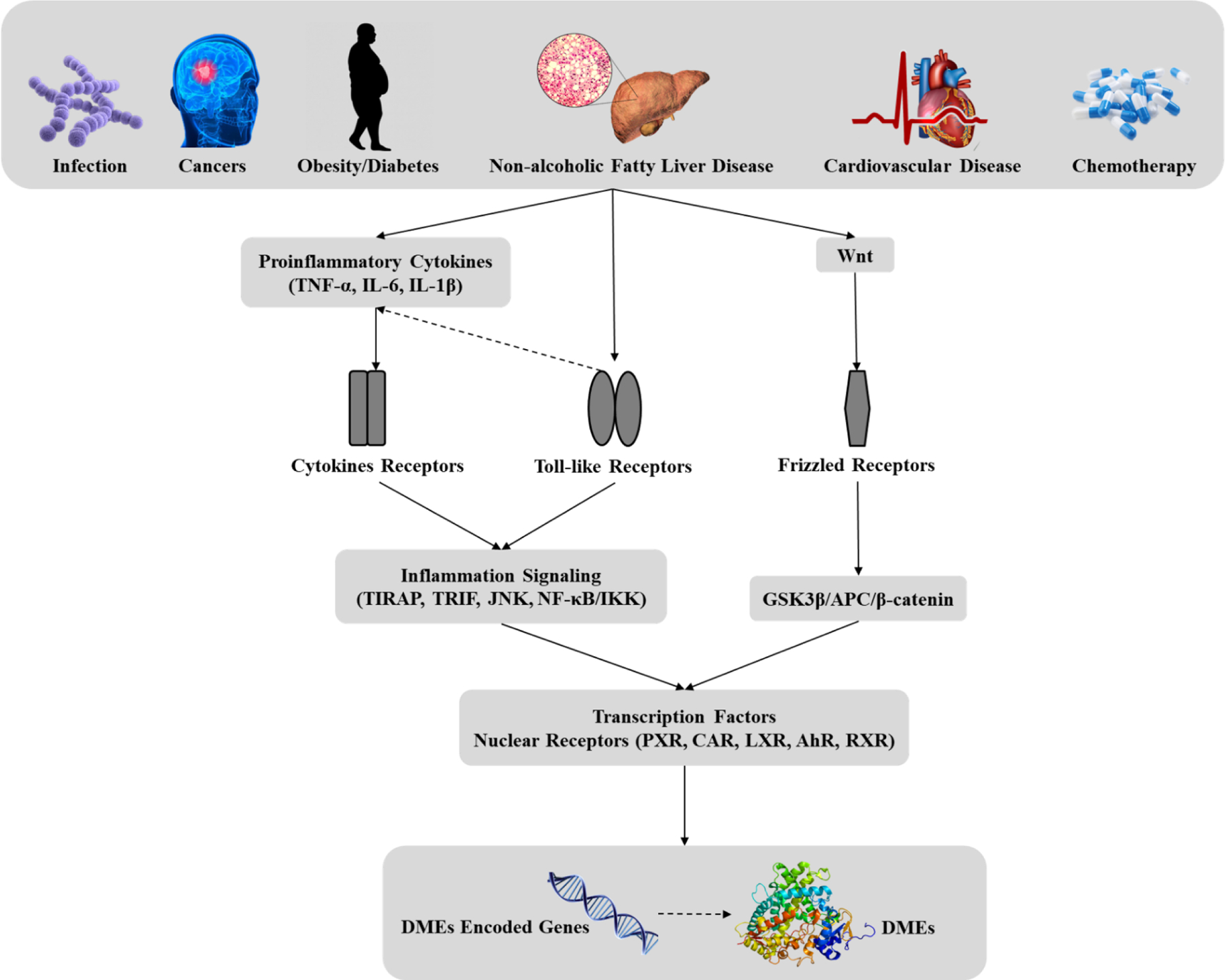 Fig 2.