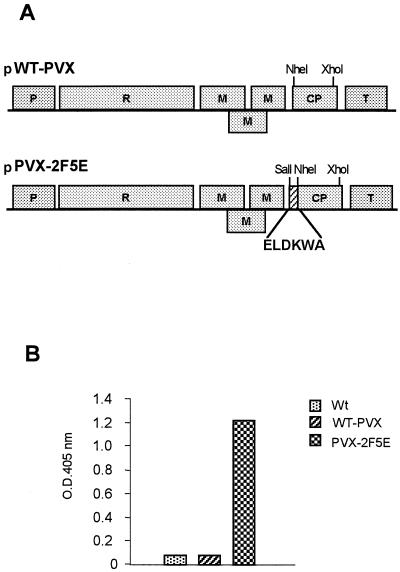 FIG. 1