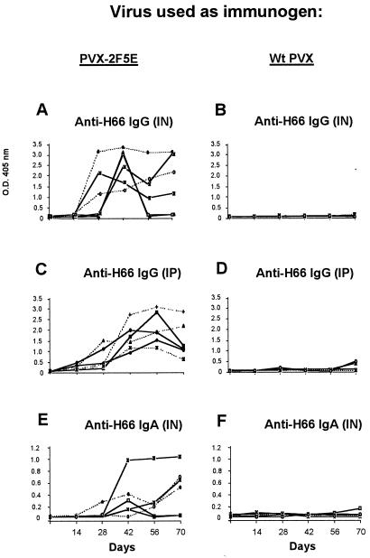 FIG. 3