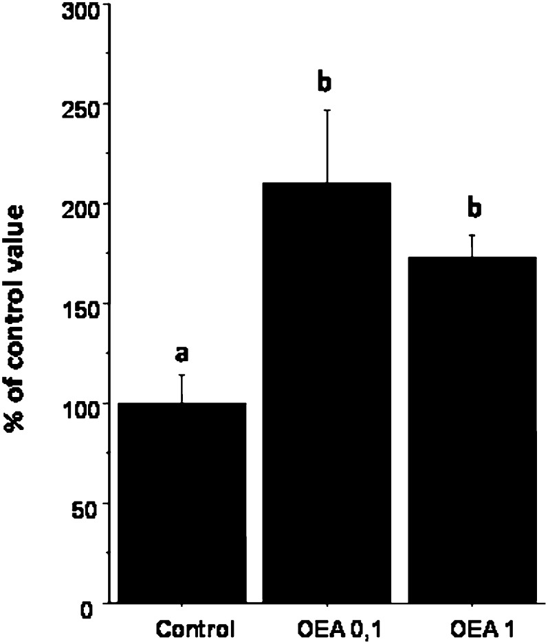 Fig.4.