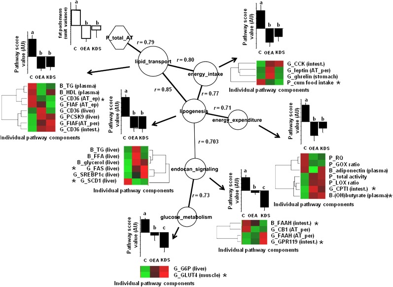 Fig.6.