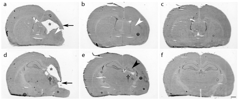 Figure 3: