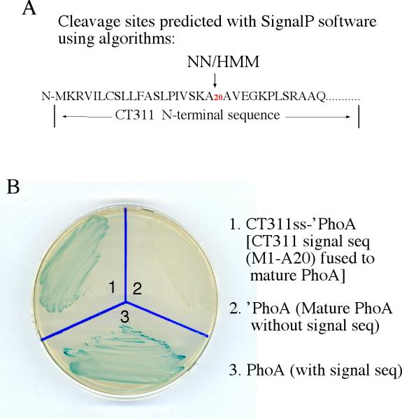 Fig.5