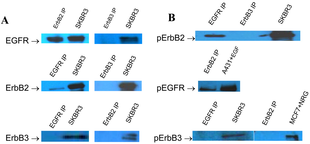 Figure1