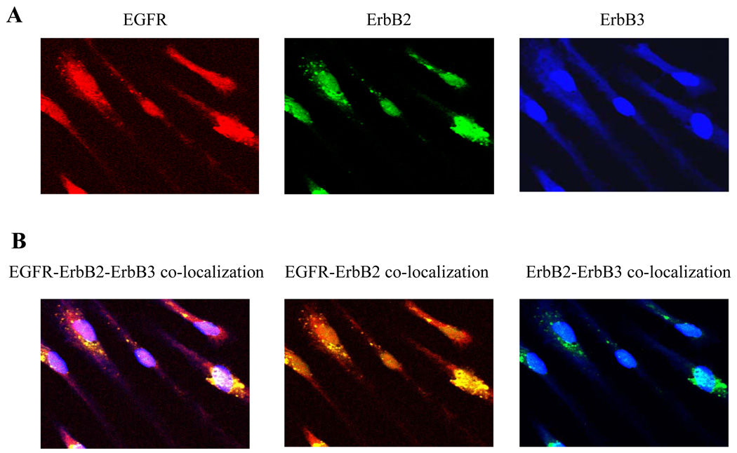 Figure2