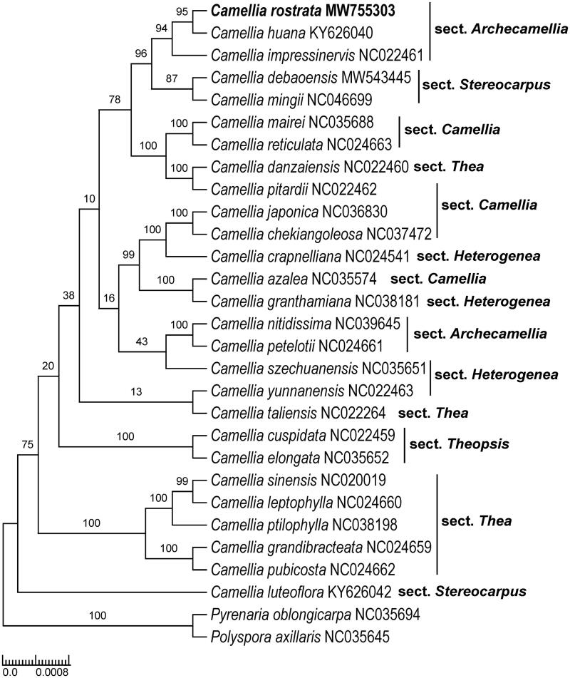 Figure 1.