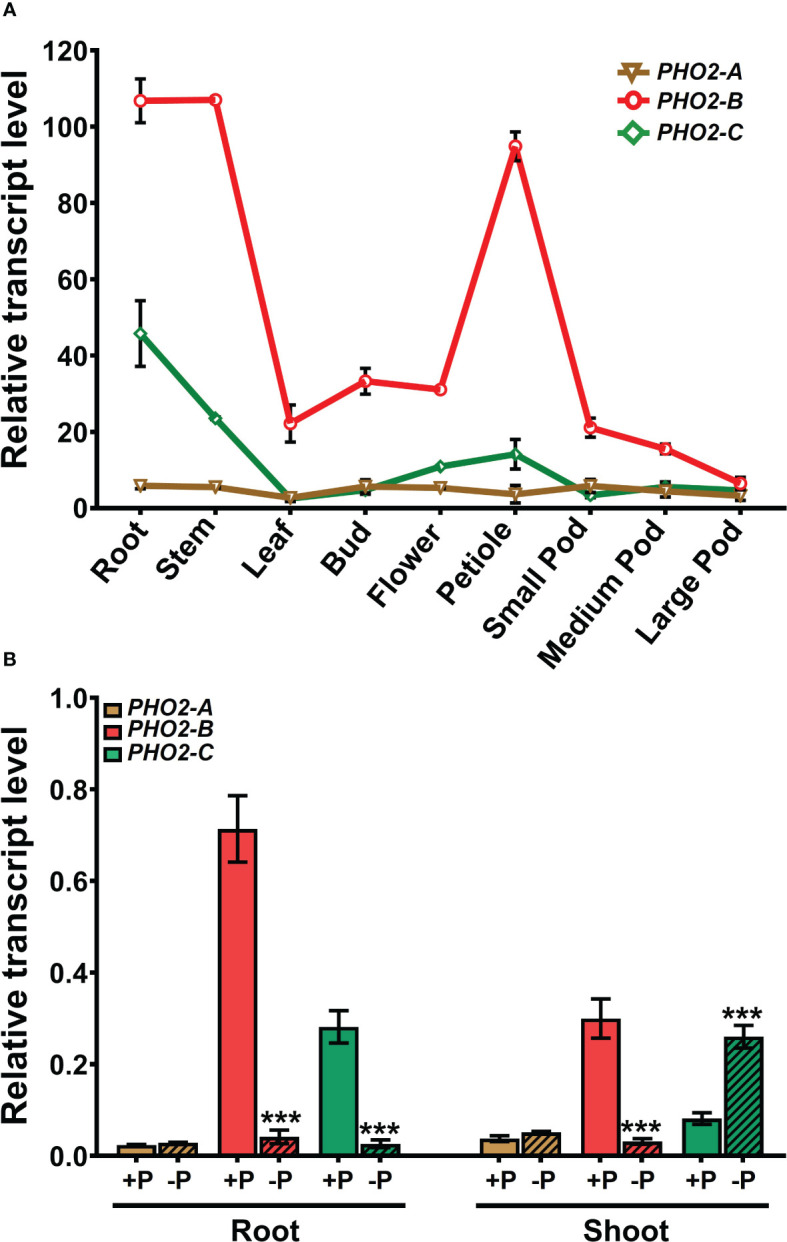 Figure 2