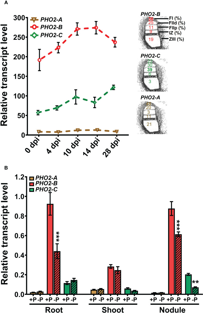 Figure 3