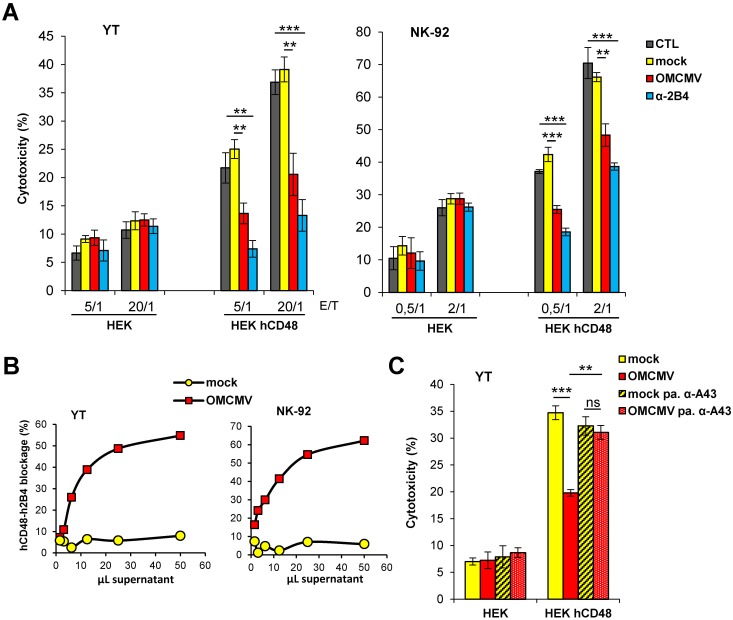 Fig 12