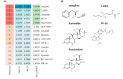Fig 10