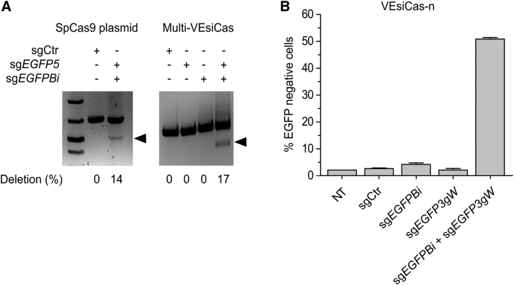 Figure 2