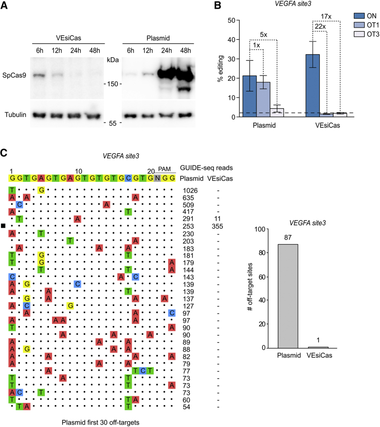 Figure 4