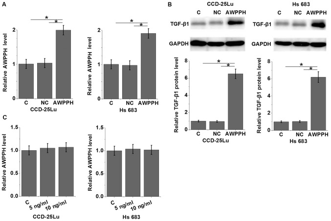 Figure 4.