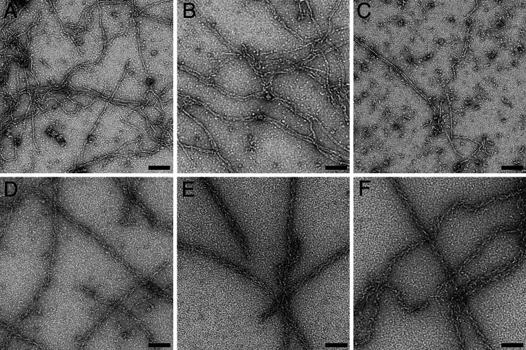 Fig. 4