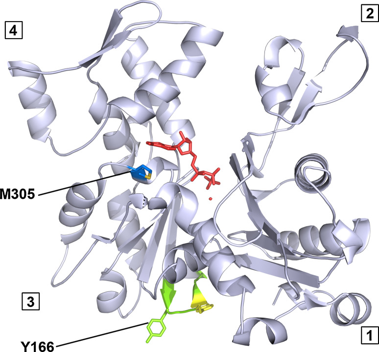 Fig. 1