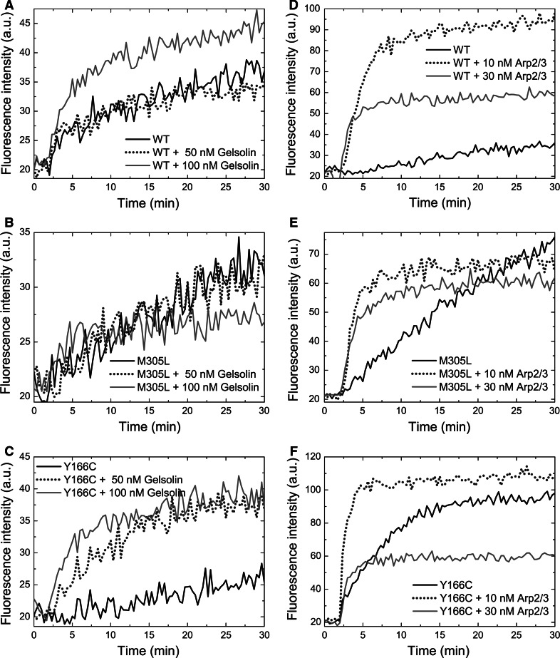 Fig. 3