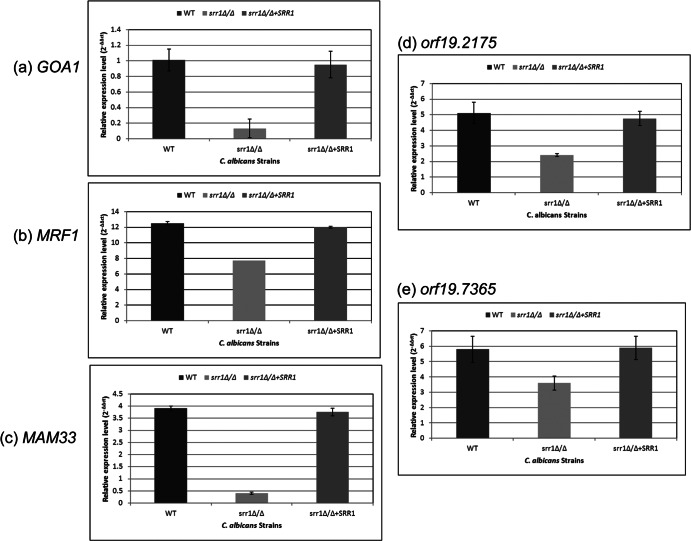 Fig 6