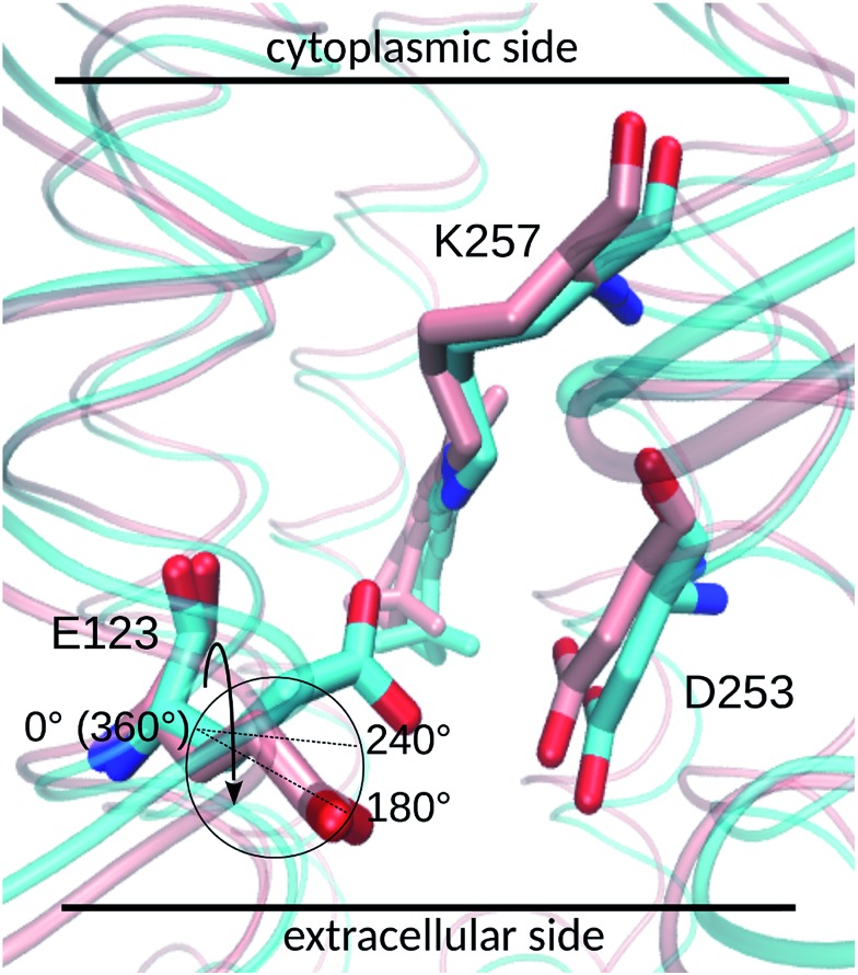 Fig. 4