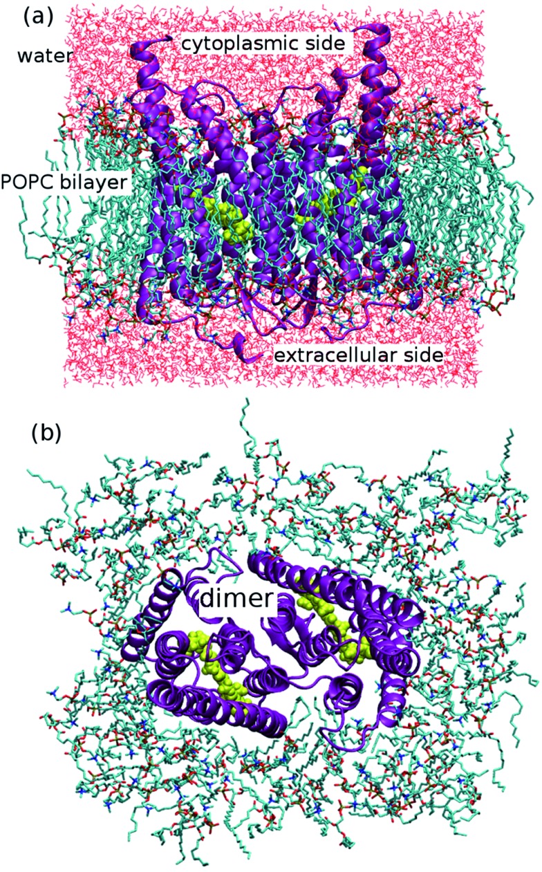 Fig. 2