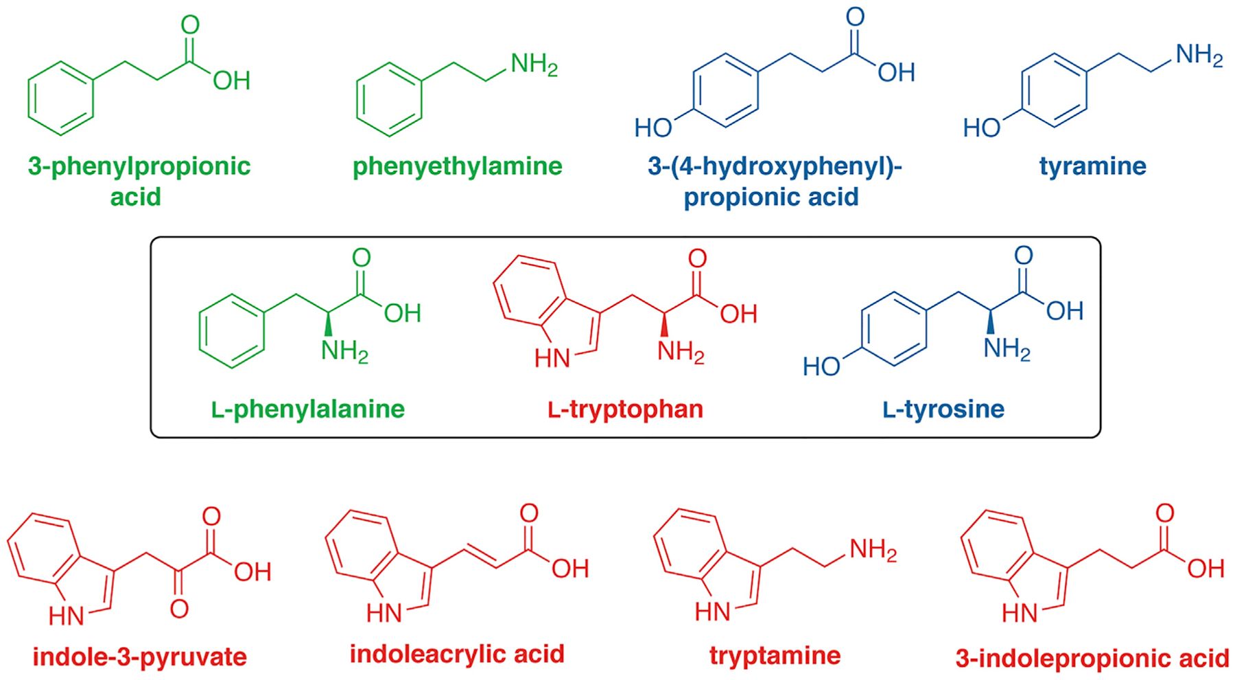 Figure 3.