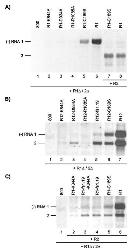 FIG. 3.