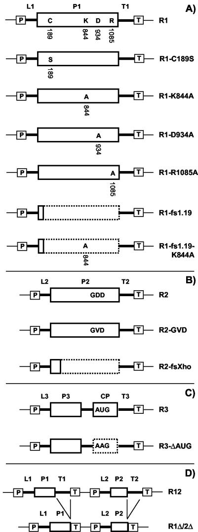 FIG.2.