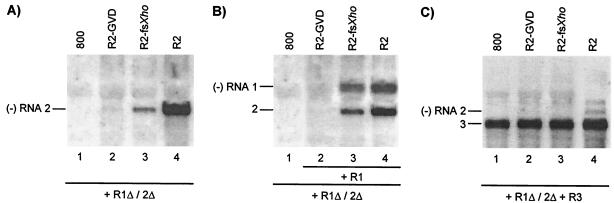 FIG. 5.