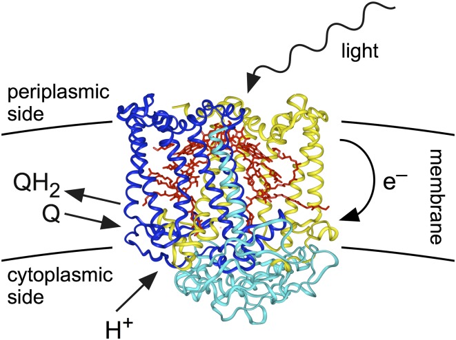 Fig. 1.