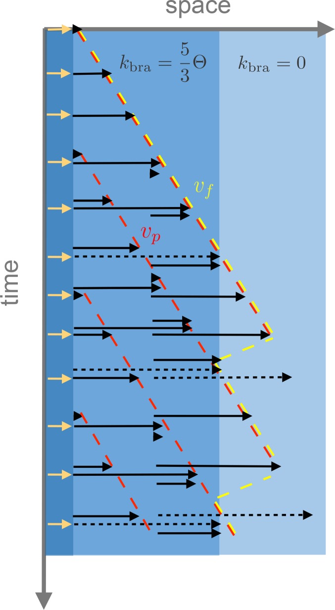 Figure 4—figure supplement 1.