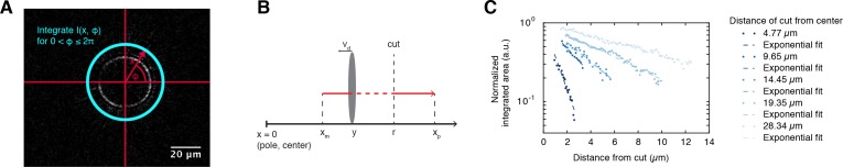 Figure 1—figure supplement 3.