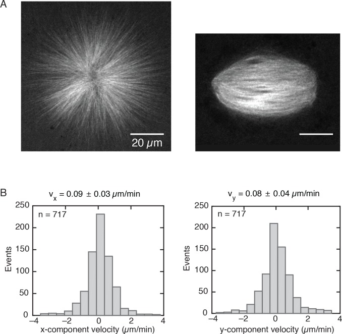 Figure 1—figure supplement 1.