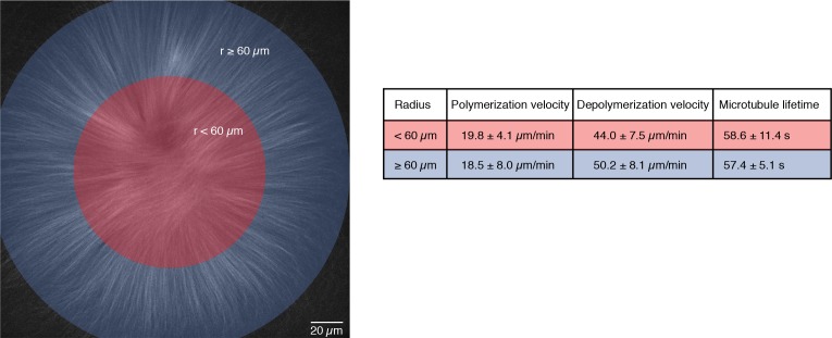 Figure 3—figure supplement 2.