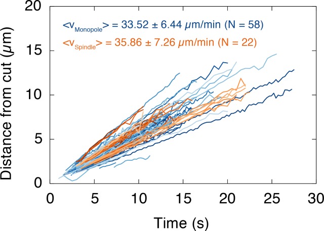 Figure 1—figure supplement 2.