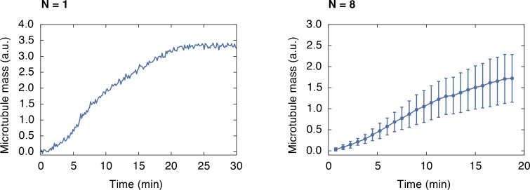 Figure 3—figure supplement 1.