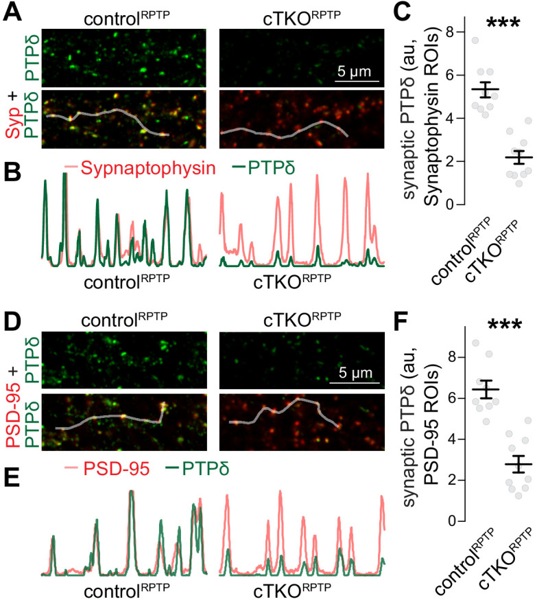 Figure 1—figure supplement 3.