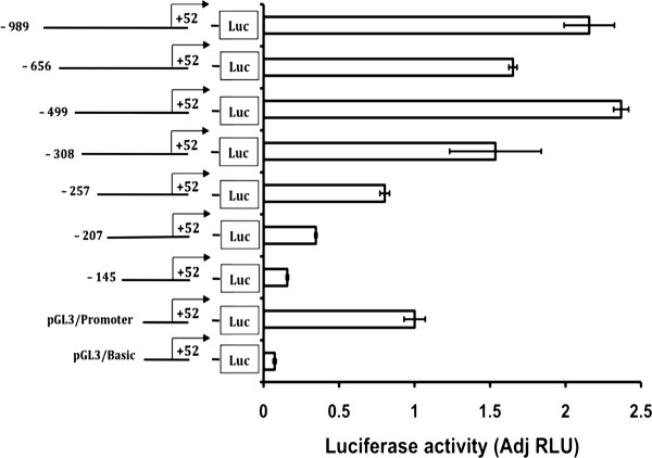 Figure 11