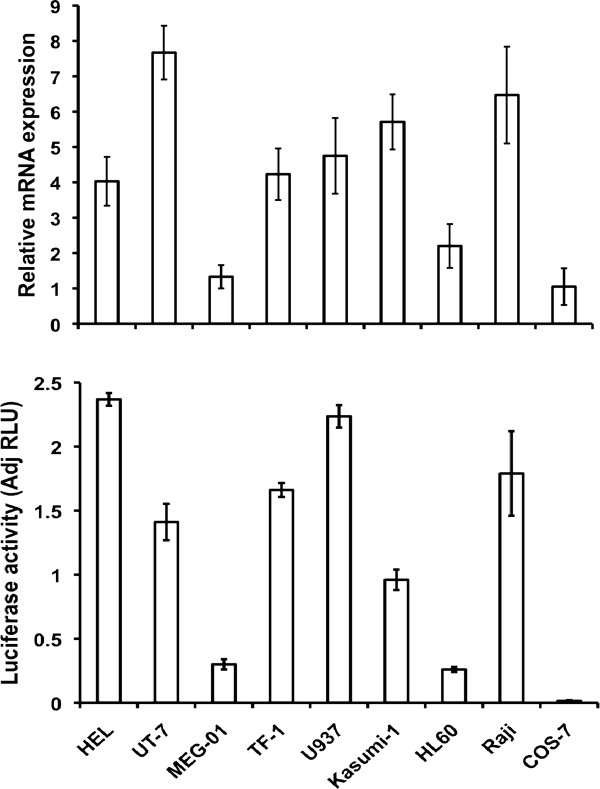 Figure 12