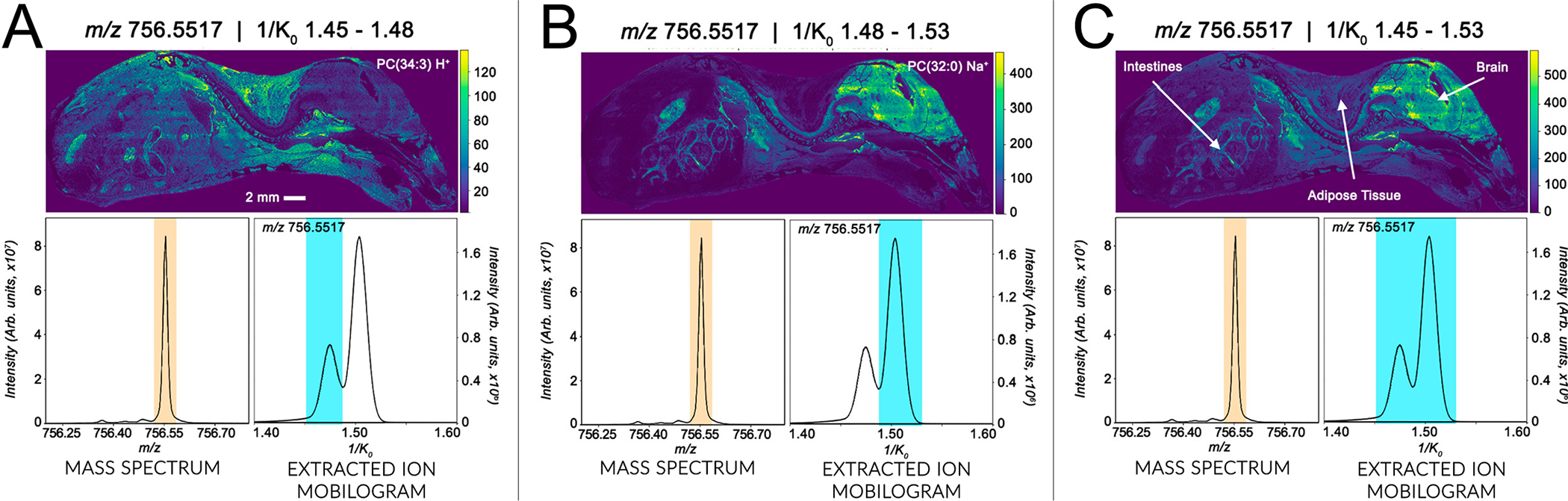 Figure 5: