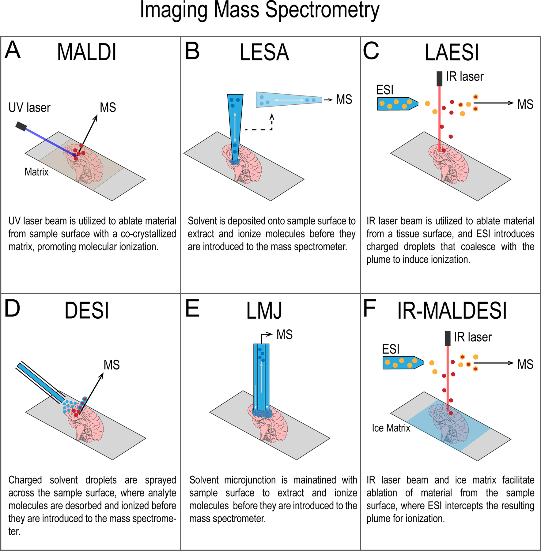 Figure 2: