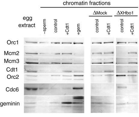 FIG. 8.